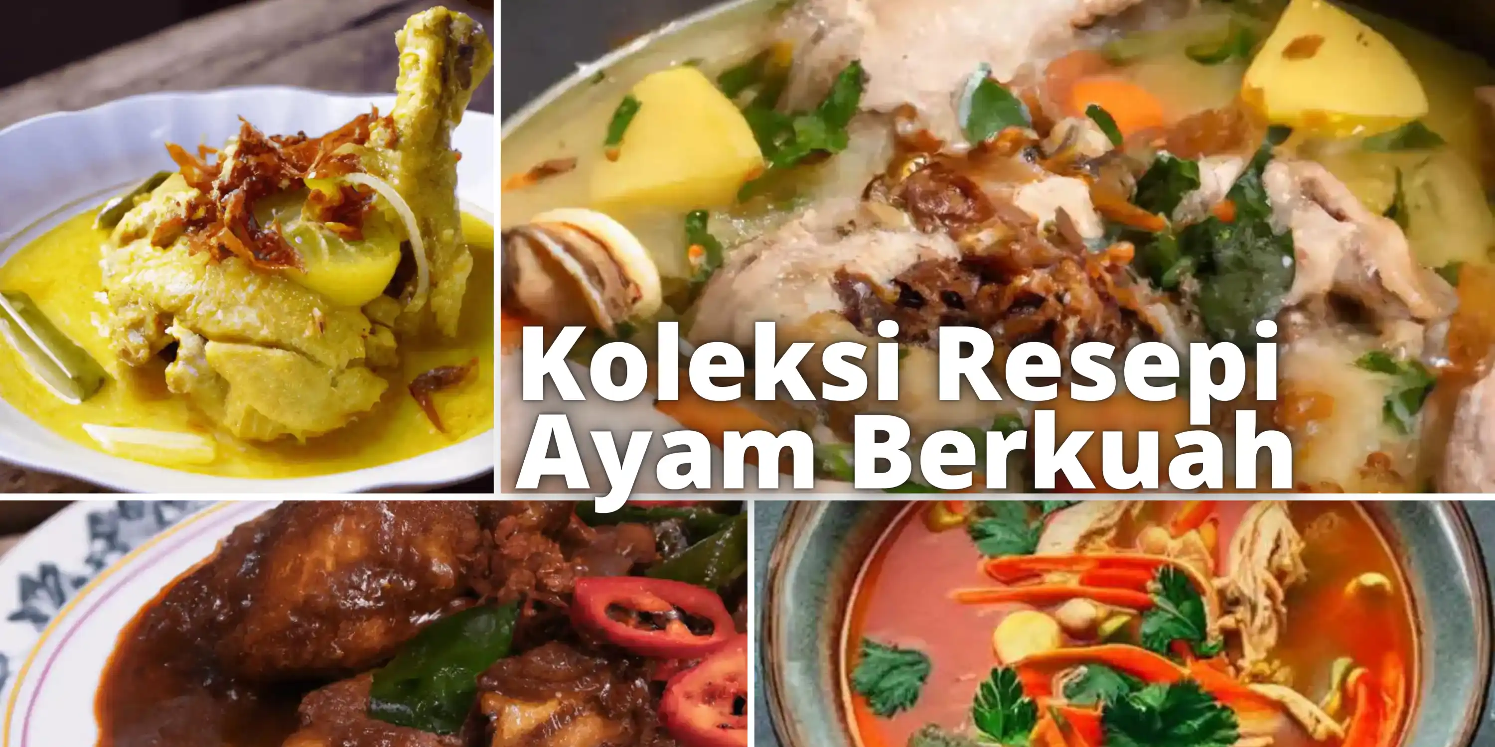 Koleksi Lauk Ayam berkuah